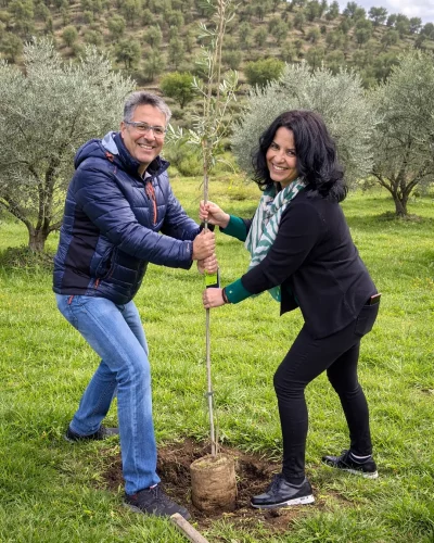pareja plantando apadrinando un olivo - aceitolivex