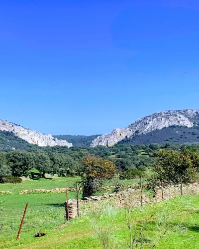 serradilla (2) - monfragüe vivo